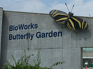 The Bio-Works Butterfly Garden