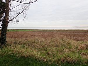The Fane Estuary from the R172 at Blackrock (geograph 6040560)