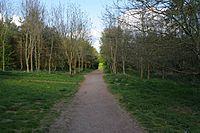 The woodland walk - Melton Country Park - geograph.org.uk - 1278679.jpg