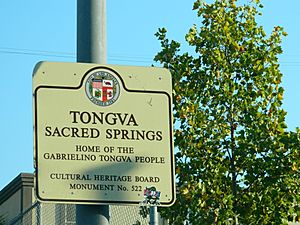 Tongva Sacred Springs - Serra Springs - Kuruvungna Springs.jpg