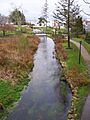 Town Brook Plymouth MA