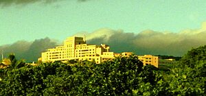 Tripler on hilltop