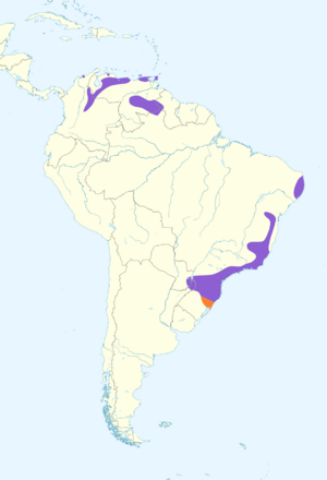 Turdus flavipes map.svg