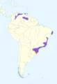Turdus flavipes map