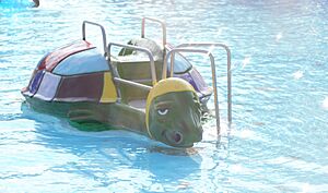 Turtle Slide at Park Forest Aqua Center
