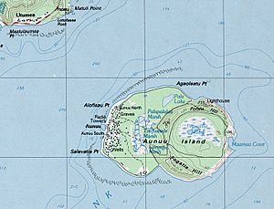 Txu-oclc-23029825-aunuu island-1989