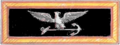 U.S. Navy captain rank insignia (1864-1866)