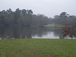 A lake with grass and trees surrounding it
