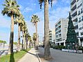 Vlorë, Albania December 2022 - Bayside street with Christmas Tree