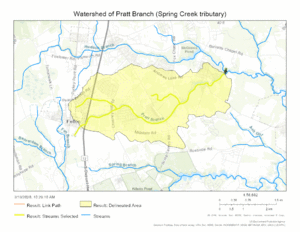 Watershed of Pratt Branch (Spring Creek tributary)