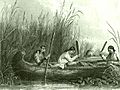 Wild rice harvesting 19th century