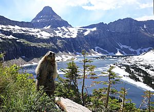 2015-06-19 Glacier National Park (U.S.) 8625