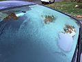 2015-10-18 07 36 28 Frost on a car windshield on Tranquility Court in the Franklin Farm section of Oak Hill, Virginia