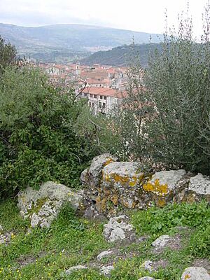 450px-Siligo. Panorama da su Runaghe.JPG