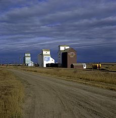 Alberta Wheat Pool and United Grain Growers grain elevators in Rimbey, Alberta