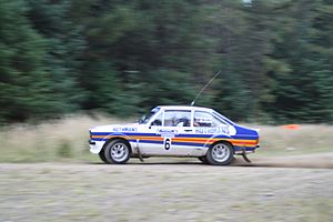 Ari Vatanen - 2008 Colin McRae Forest Stages Rally