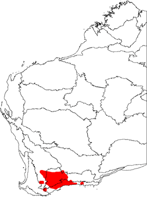 Banksia violacea map