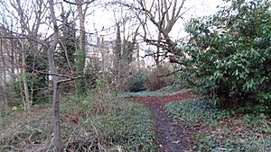 Barnsbury Wood 6