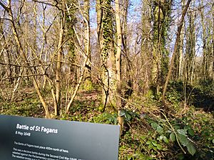 Battle of St Fagans woods