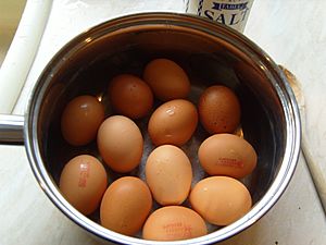Boiled eggs in saucepan by Sarah McCulloch