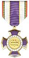 Border patrol Purple Cross 2