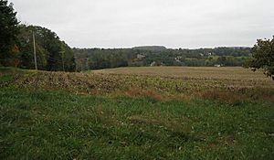 Brandywine Osborne's Hill View