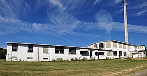 Carnation Milk Factory 1