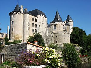 Chateau Verteuil