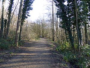 Crowborough Country Park (10)