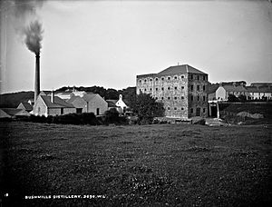 Distillery, Bushmills, Co. Antrim (26174707572)