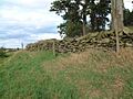 Drystone wall at Billa Barra Local Nature Reserve - geograph.org.uk - 41175