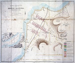 E.A. Parkes, Report on the formation.... Wellcome L0030217