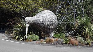 Eketahuna Kiwi