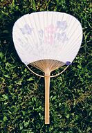 An example of a eastern fan.