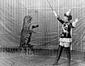 Female animal trainer and leopard, c1906