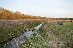 Fenlake Meadows 8