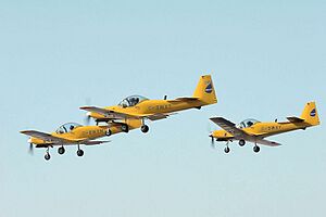 Fireflys - RIAT 2006 (2916682004)