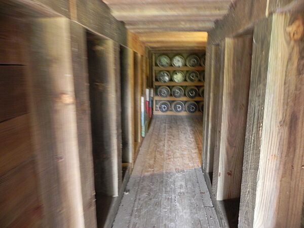 Fort McAllister Now 05