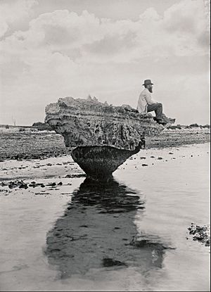 H. H. Tilbrook - Corset Rock - Google Art Project