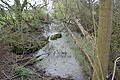 Hall's Quarry 1