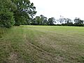 High House Meadows 2