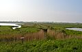 Holland Haven Country Park - view from bird hide 5