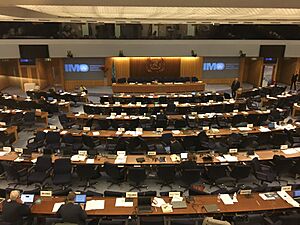 International Maritime Organization Committee