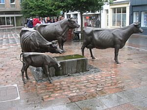 Jersey cow sculpture by John McKenna, St Helier