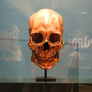 Kennewick Man.jpg