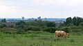 Leicester skyline - geograph.org.uk - 472568