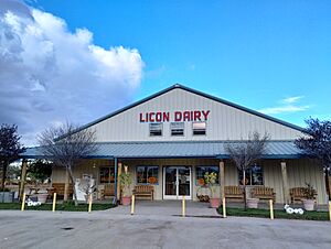 Licon Dairy 2022