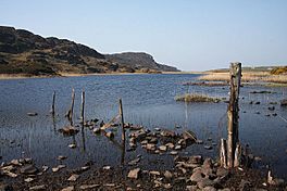 ruined fencing extending into the loch