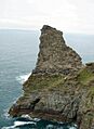 Long Island sea bird colonies - geograph.org.uk - 443258