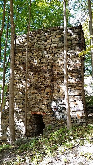 Main furnace